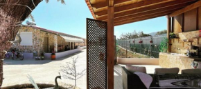 Ecological Studio Flat in Kalyvia Thorikou Greece